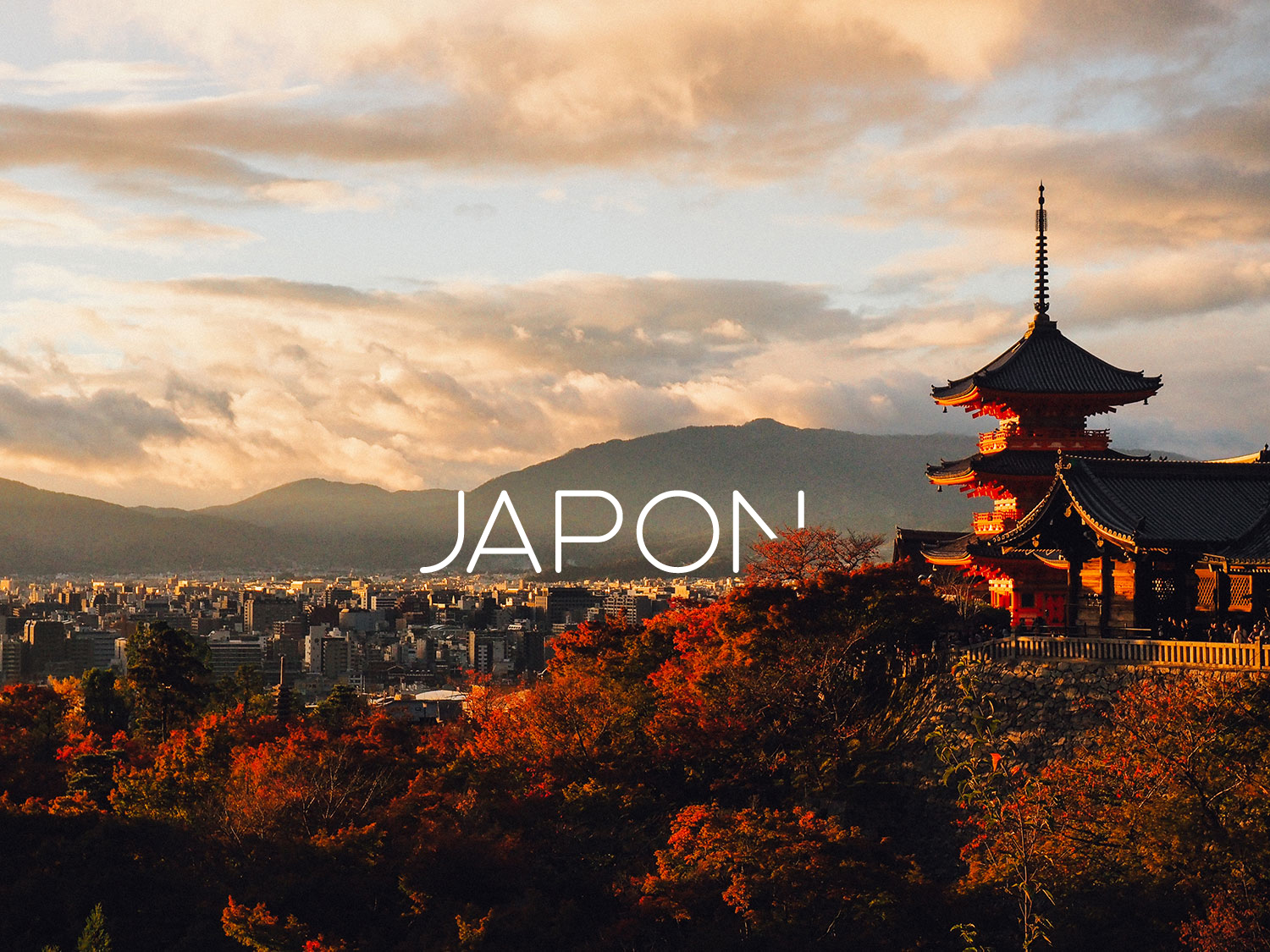 Japon de nuit